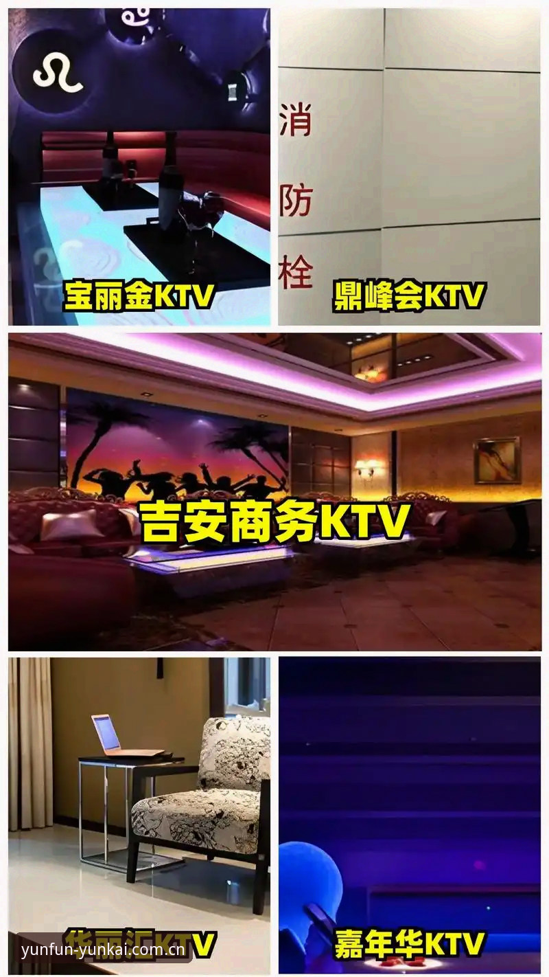 揭秘云开体育平台背后的真相：YK官网入口如何重塑娱乐体验？