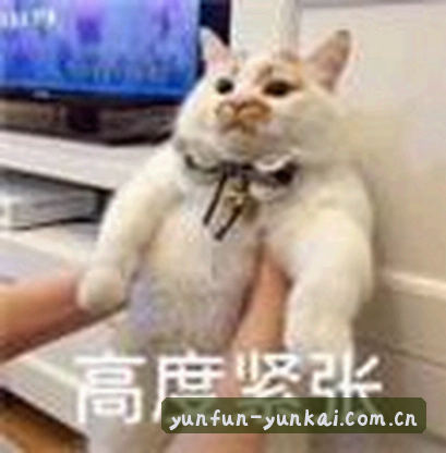陈先生