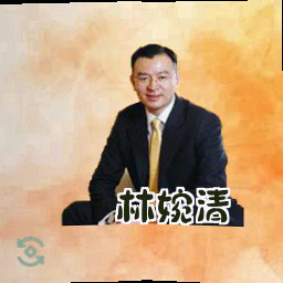 林婉清